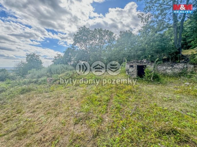 Prodej, Zahrada, Třebenice