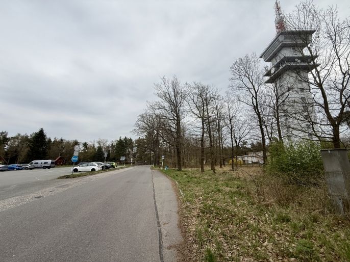 Prodej, Les, Býšť