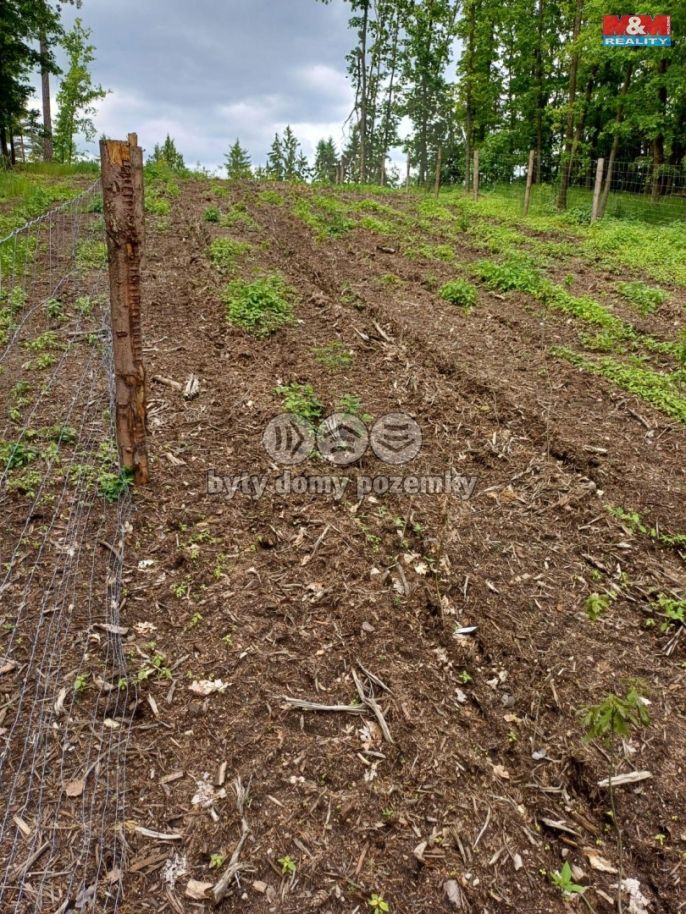 Prodej, Les, Hrazany