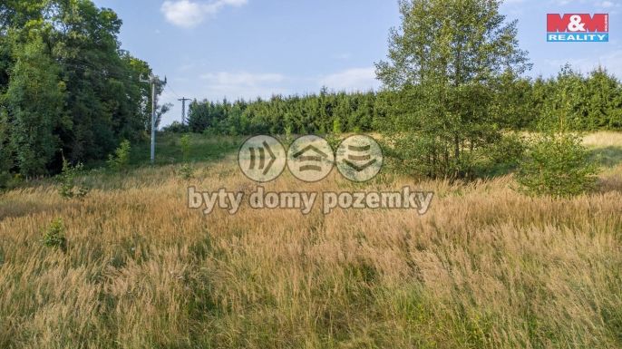 Prodej, Louka, Nový Bor