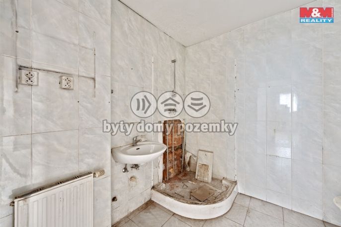 Prodej, Rodinný dům, Janov