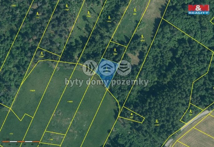 Prodej, Les, Malý Bor