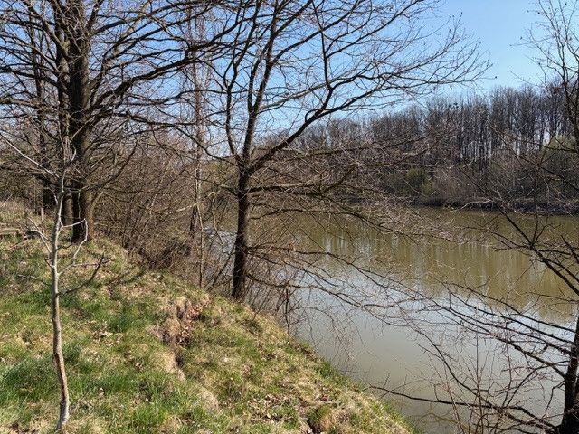 Prodej, Komerční pozemky, Stará Ves nad Ondřejnicí