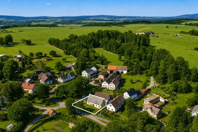 Prodej, Rodinný dům, Planá