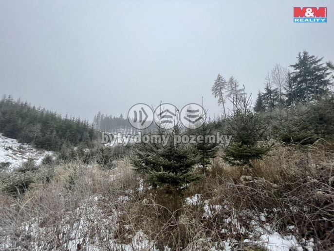 Prodej, Les, Vidochov