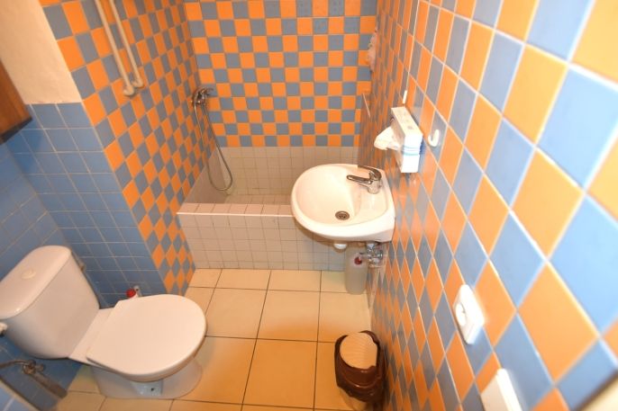 Pronájem, Obchod a služby, Mladá Boleslav