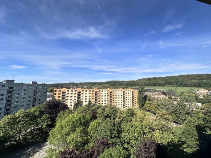 Prodej, Byt 2+1, Chomutov