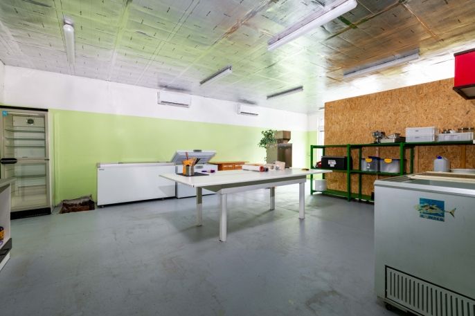 Prodej, Obchod a služby, Svatoňovice