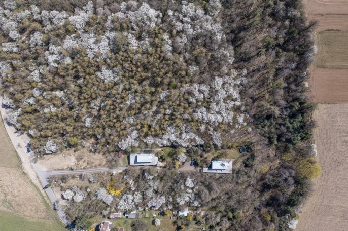 Prodej, Pozemek k bydlení, Škvorec