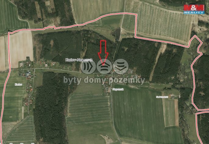 Prodej, Les, Dražíč