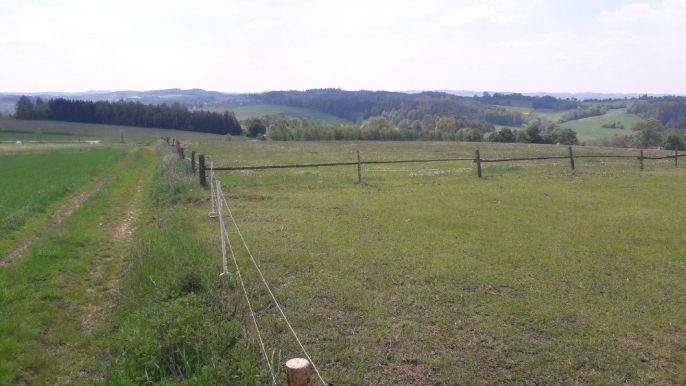 Prodej, Pole, Heřmaničky