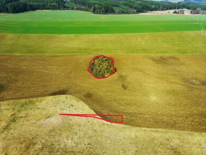 Prodej, Pole, Kladruby