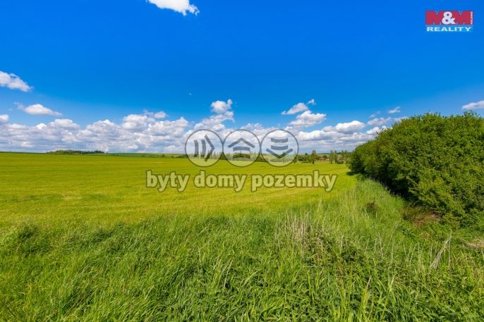 Prodej, Louka, 2373 m², Blížejov