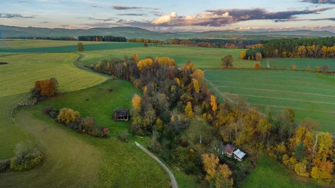 Prodej, Louka, Bílá