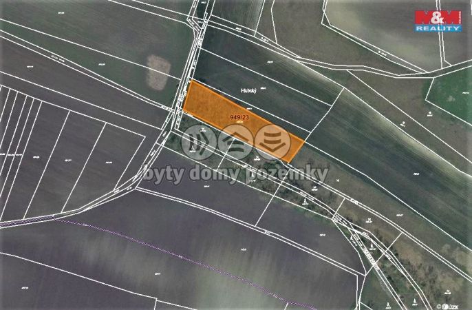 Prodej, Les, Koštice