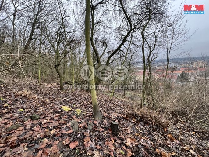 Prodej, Pozemek k bydlení, Bílina