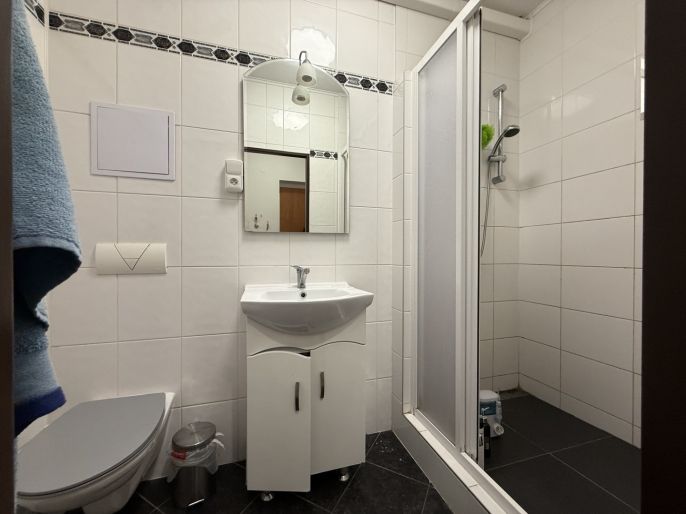 Pronájem, Byt 2+1, Ostrava