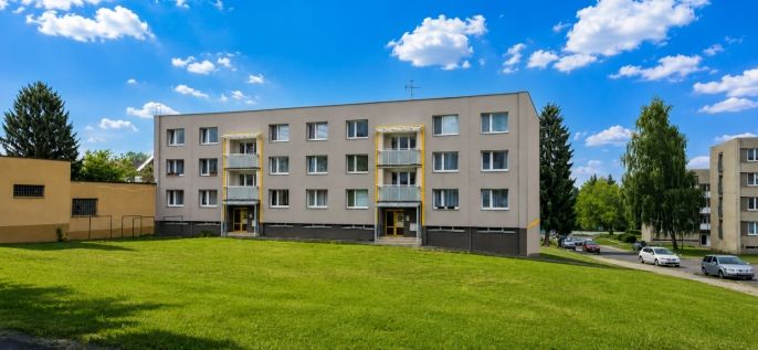 Prodej, Byt 1+1, Rokytnice v Orlických horách
