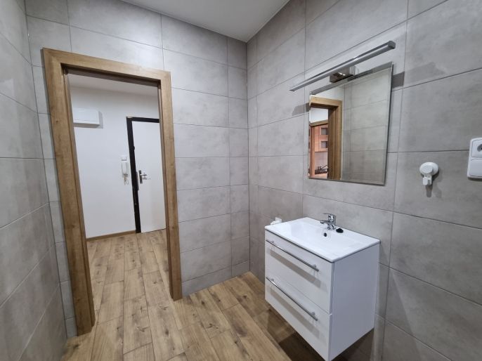 Pronájem, Byt 1+1, Ostrava