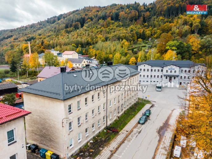 Prodej, Byt 2+1, Hanušovice