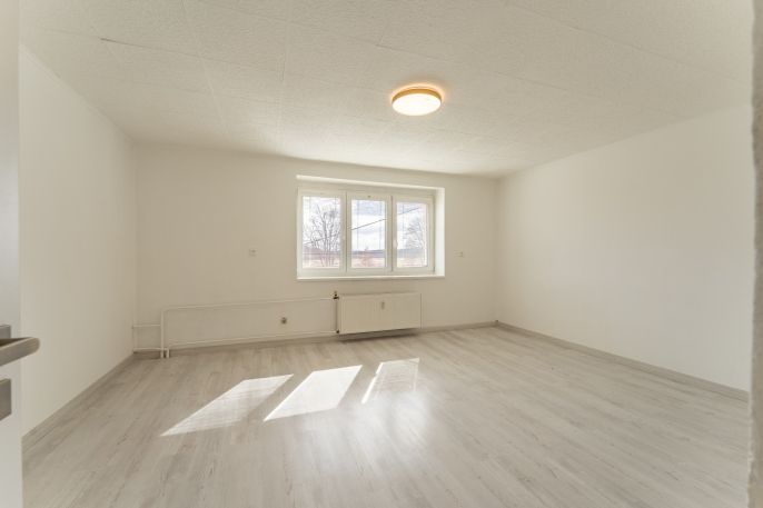 Prodej, Byt 2+1, Bor