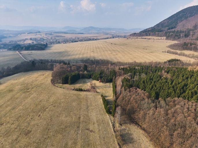 Prodej, Ostatní, Královec