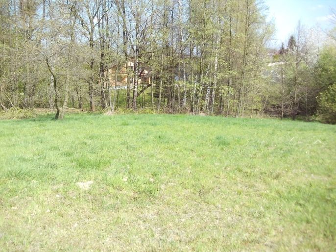 Prodej, Zahrada, Horní Bludovice