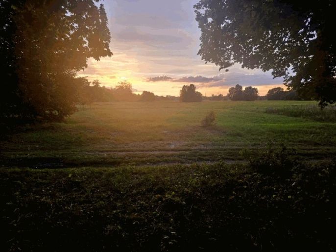 Prodej, Louka, Hradec Králové