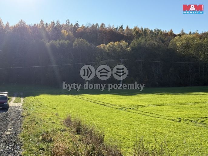 Prodej, Les, Velká Polom