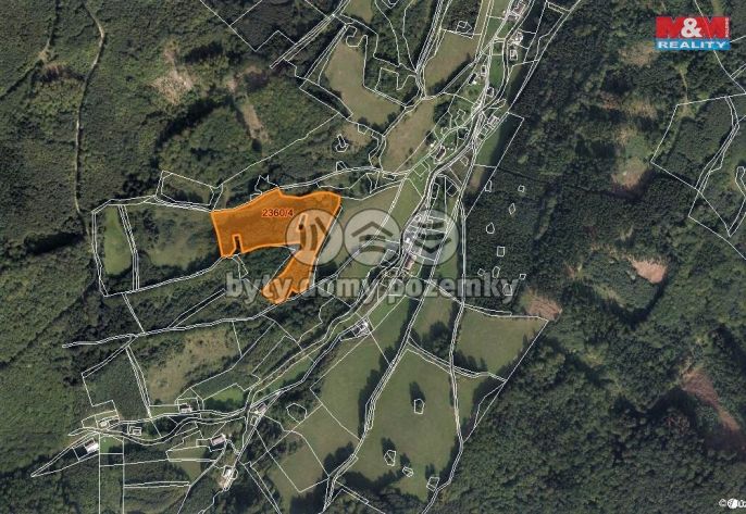 Prodej, Les, Vápenná