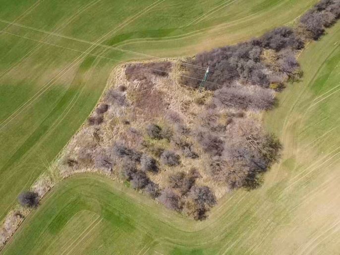 Prodej, Ovocný sad, Sušice