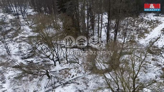 Prodej, Vodní plocha, Dolní Hořice