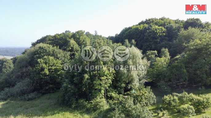 Prodej, Chalupa, Vlksice