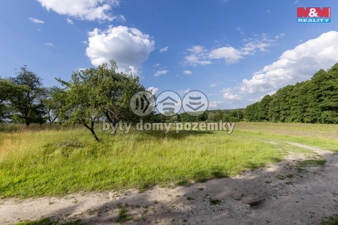 Prodej, Ovocný sad, Morašice