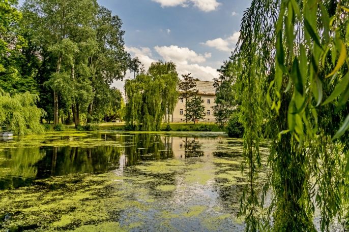 Pronájem, Byt 1+kk, Vlčice