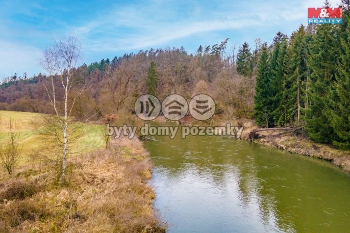 Prodej, Les, Zruč-Senec