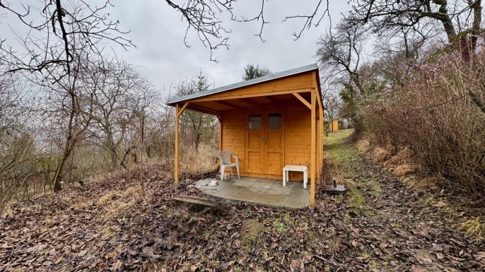 Pronájem, Zahrada, Brno