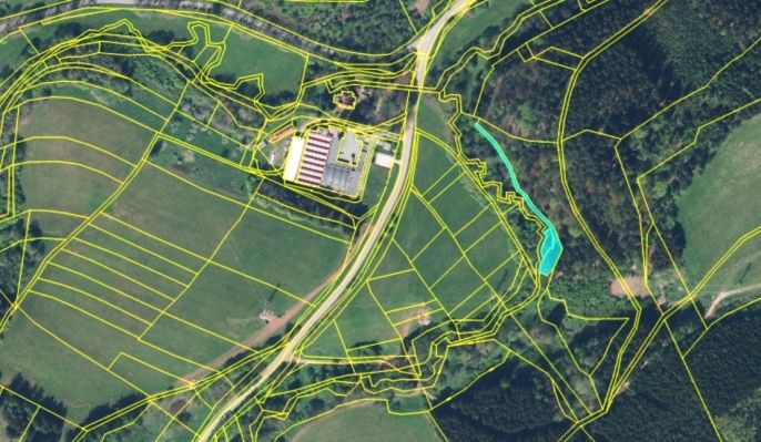 Prodej, Les, Stárkov