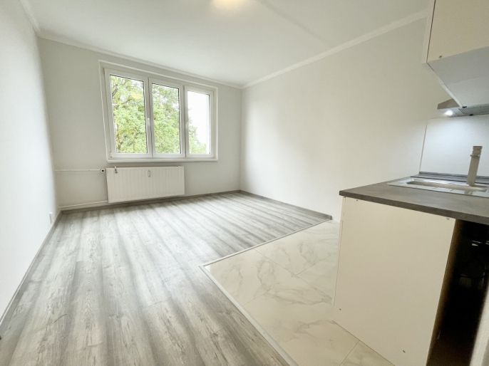 Pronájem, Byt 1+1, Sokolov