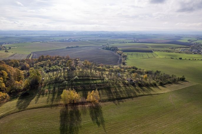 Prodej, Ovocný sad, Kostelec u Holešova