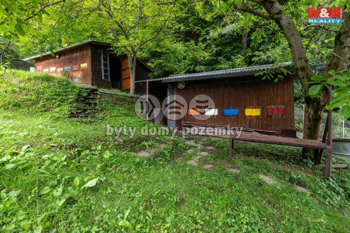 Prodej, Chalupa, Všemina