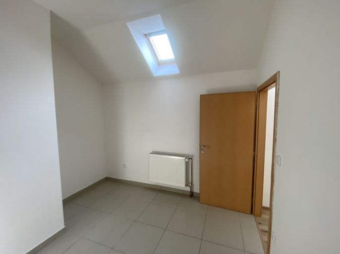 Pronájem, Byt 1+1, Těšany