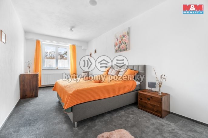 Prodej, Hotel, penzion, Borušov