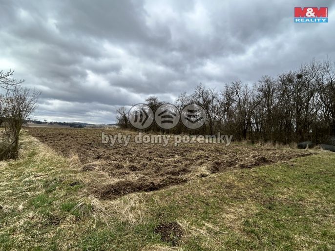 Prodej, Zahrada, Cizkrajov