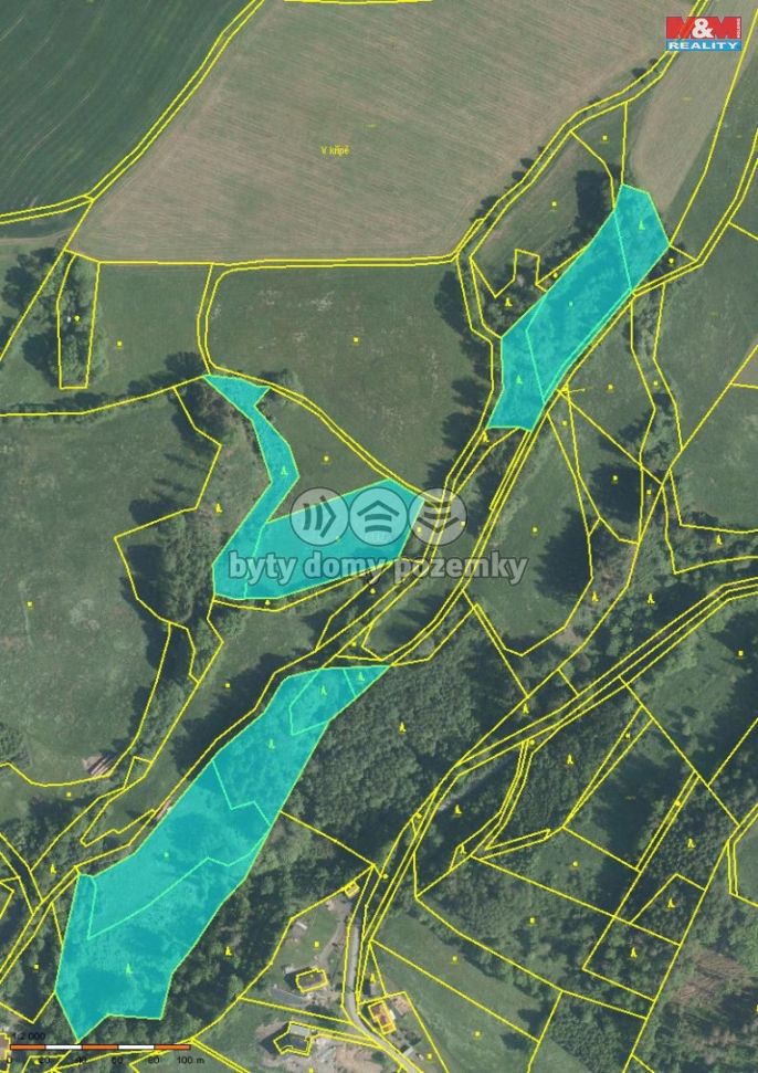 Prodej, Les, Košťálov