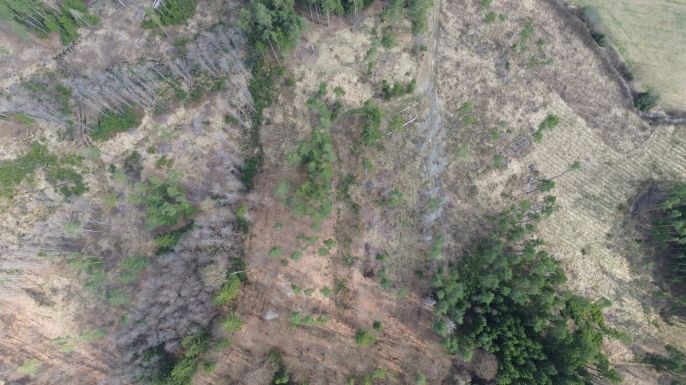 Prodej, Les, Mrákotín