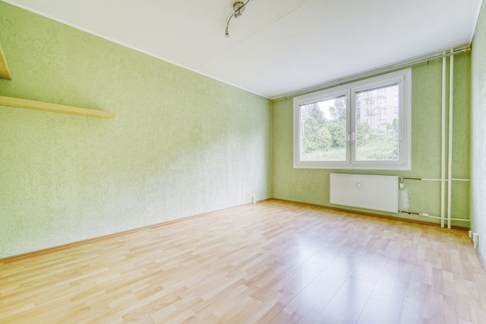 Pronájem, Byt 1+1, Plasy