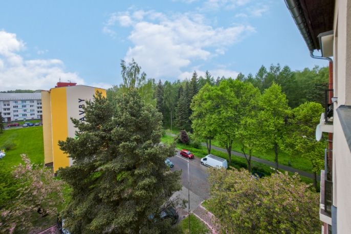 Prodej, Byt 1+kk, Horní Slavkov