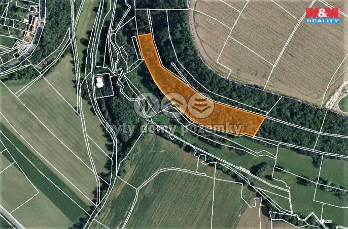 Prodej, Les, Skuteč