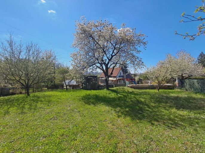 Pronájem, Zahrada, Přeštice